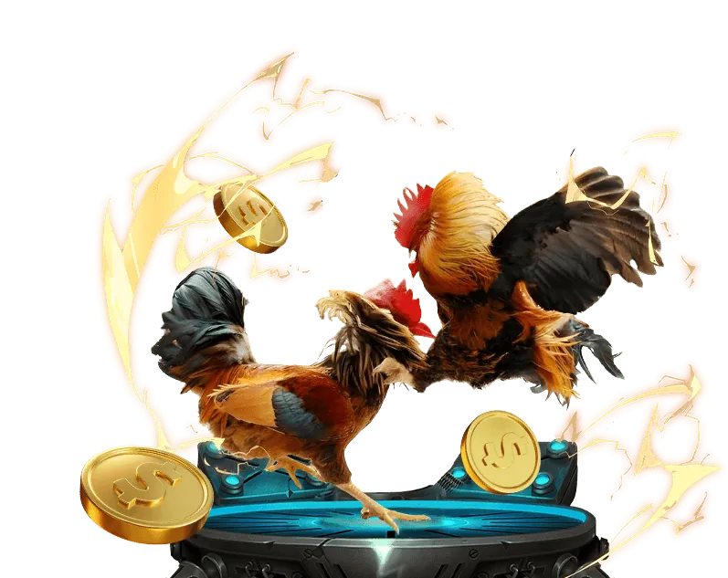 Quản lý vốn và tâm lý No Hu 78